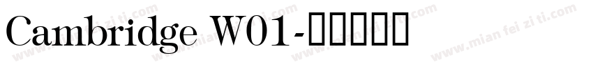 Cambridge W01字体转换